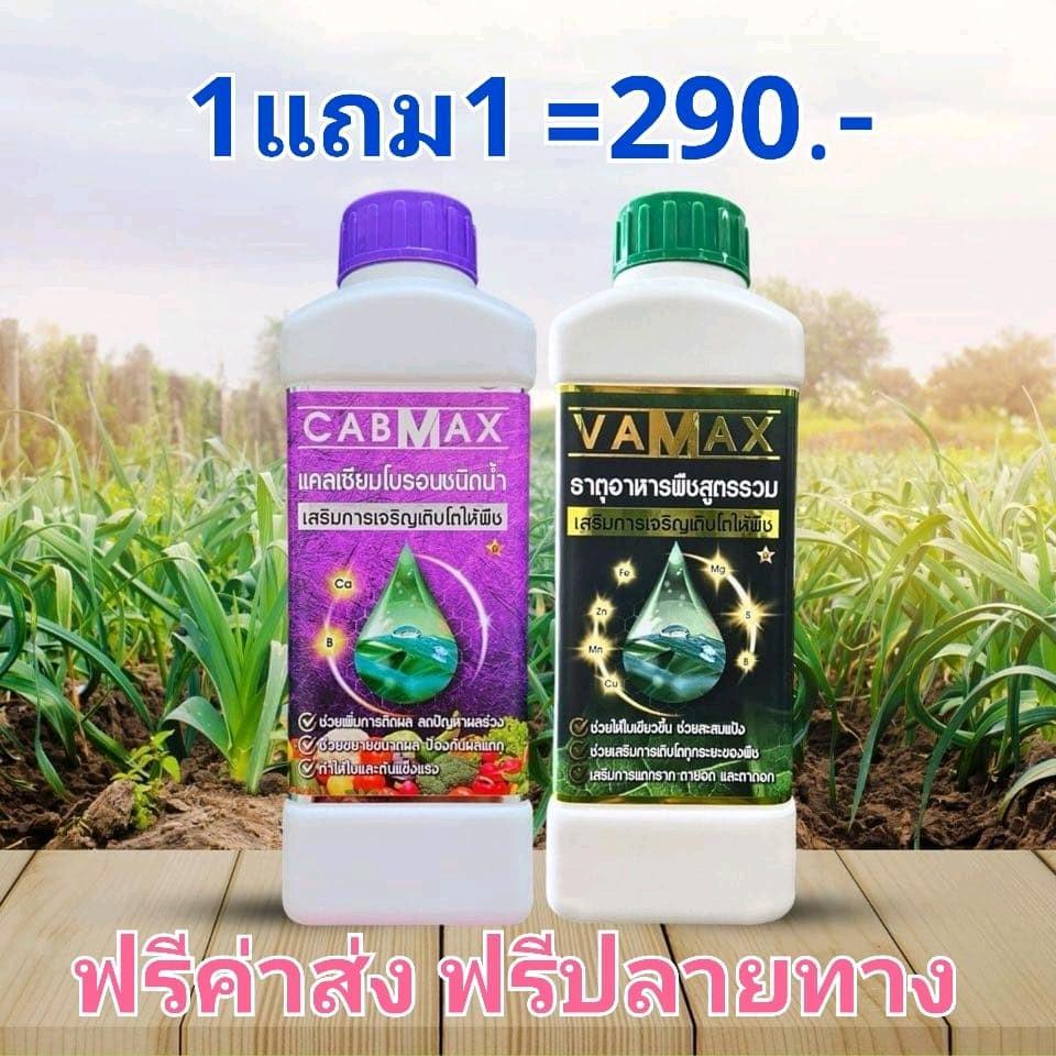 CABMAX+VAMAX ปุ๋ยธาตุอาหารรองเสริมพืช ขนาด 1 ลิตร 2 ขวด ธาตุอาหารรอง อาหารเสริมพืช เกรดพรีเมี่ยม