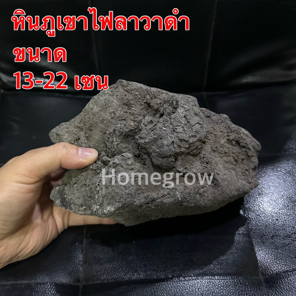 หินภูเขาไฟลาวา หินลาวาดำ ขนาดใหญ่ 13-22 เซน (Lava Stone) | ใส่บ่อปลา ตู้ปลา