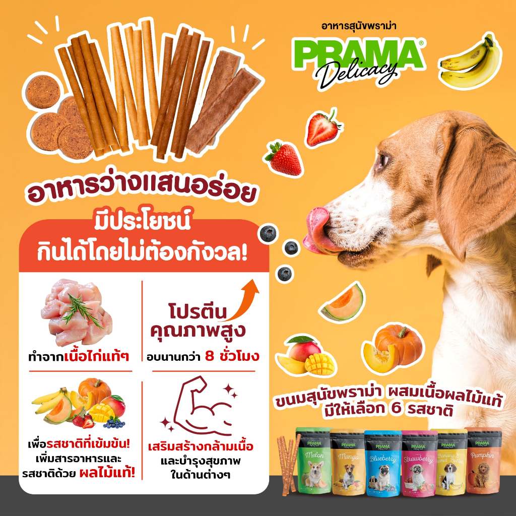 CatHoliday PRAMA Delicacy Snack พราม่า เดลิคาซี่ สแน็ค ขนมสุนัข เนื้อไก่ โปรตีนสูง ราคา ถูกที่สุด ดีลบีเคเค แกลเลอรีภาพที่ 2