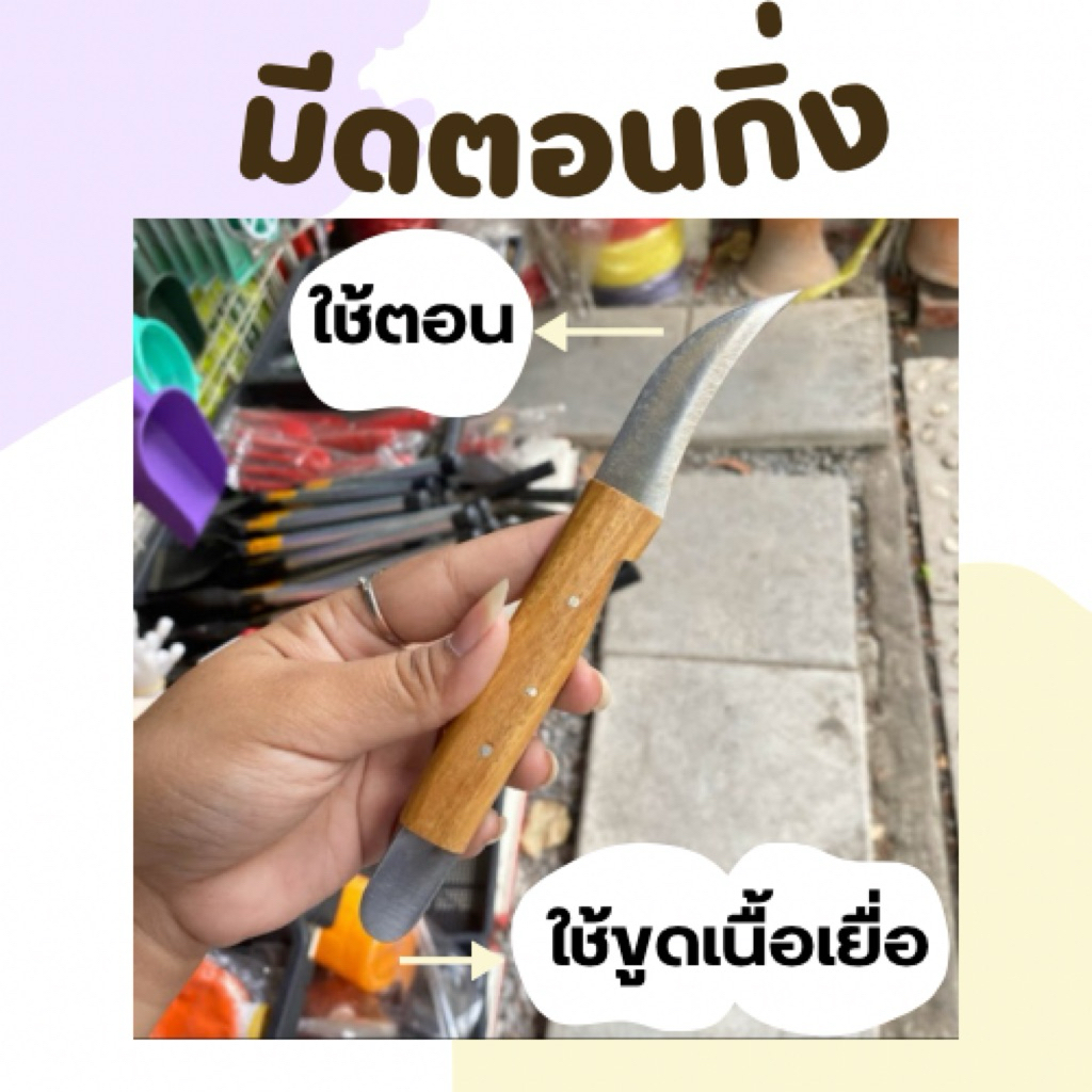 มีดตอนกิ่ง แบบ1หัว และ2หัว