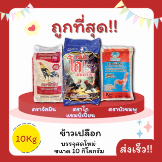 (โค้ดส่งฟรี0บาท)ข้าวเปลือกไก่ตราจัสมิน/บัวชมพูชั้นดีแกลบน้อย10กิโลกรัม(Kg) ส่งฟรีไม่คิดเพิ่ม🏎️จากโรงสีโดยตรง