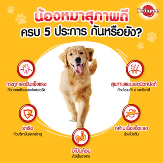 Pedigree เพดดิกรี อาหารสุนัขชนิดเม็ด ไซส์กระสอบ15-20kg.