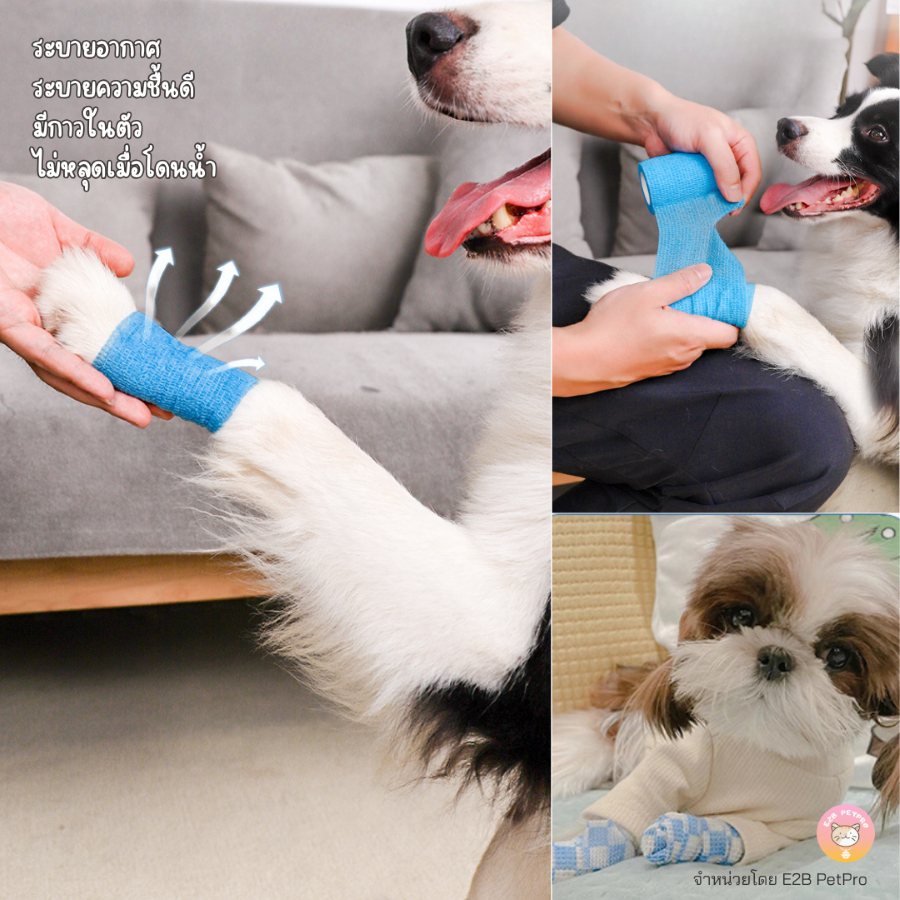 รูปภาพ 2