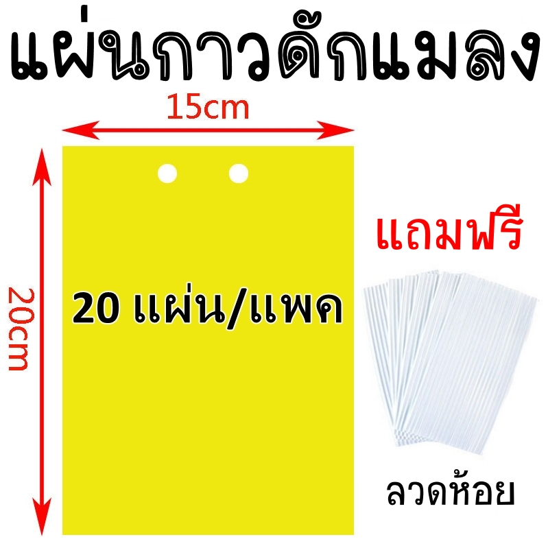 แผ่นกาวดักแมลง แพค 20-100 แผ่น พร้อมลวดแขวน แผ่นสติกเกอร์ดักจับแมลง