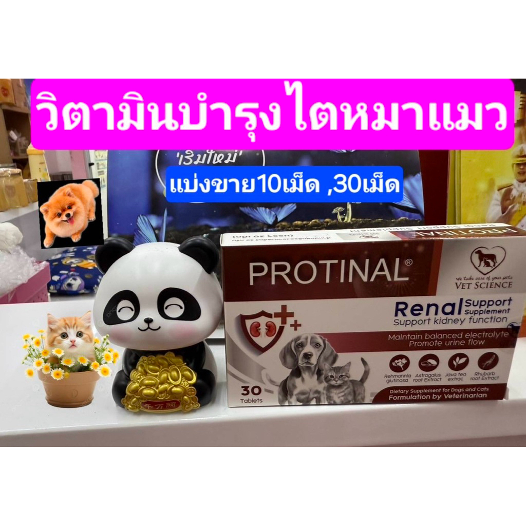 ถูกที่สุด🔥!! protinalวิตามินบำรุงไต สำหรับสุนัขและแมว โปรตินัล แทบเล็ท 30 เม็ด