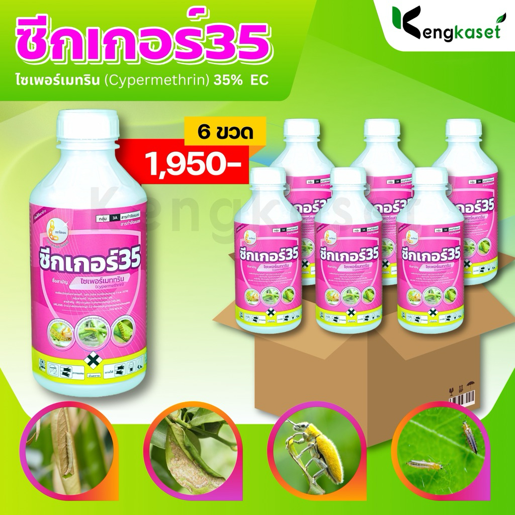 ซีกเกอร์35 (ไซเปอร์35%) 6 ขวด คุ้มประหยัดกว่า