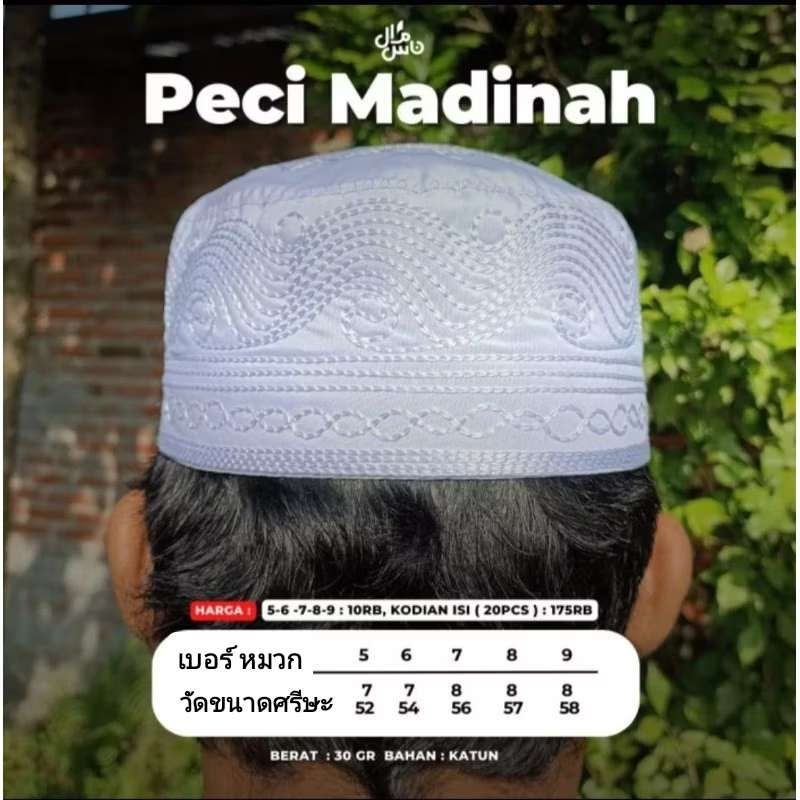 รูปภาพ 5