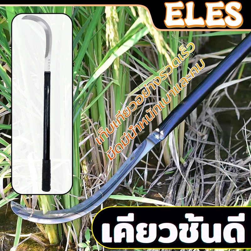 มีดขอด้ามยาว เคียวปาดตองด้ามแป๊บยาว เคียวเหล็กแมงกานีส ทำมาจากเหล็กแมงกานีสแท้ แข็งแรงคงพิเศษ