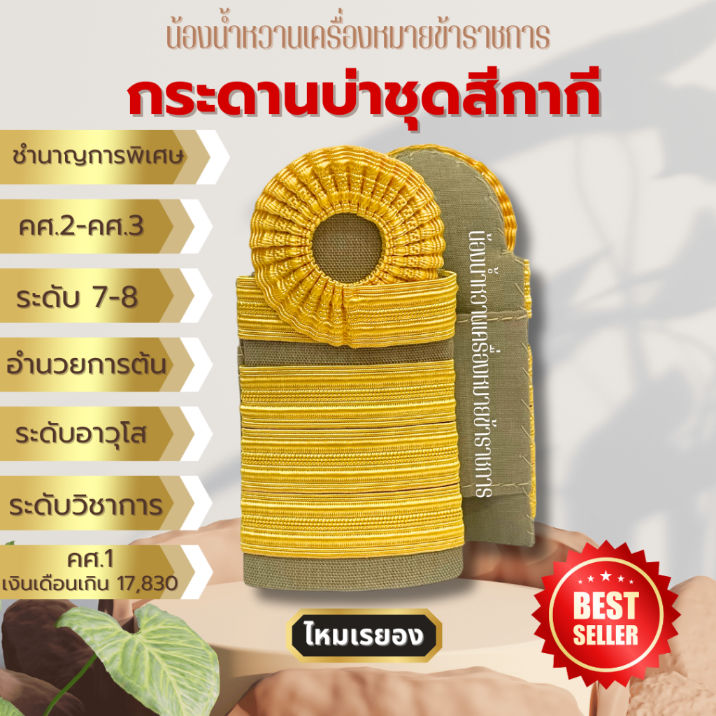 อินทรธนูชำนาญการ ชำนาญการพิเศษ ระดับ7-8 อำนวยการต้น รูปที่ 3