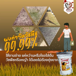 ผงกำจัดวัชพืชเพียงแค่โรย ไม้เลื้อย ต้นพืช ต้นหญ้า ตามตัวหนอนหรือร่องซีเมนต์ บรรจุ 1.0 กิโลกรัม