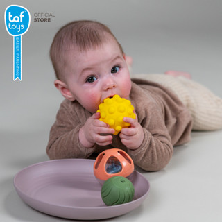 Taf Toys طقم ألعاب وقت الاستلقاء على البطن Tummy-time Essentials Kit لعبة تنمية مهارات من عمر 0 شهر صورة 5
