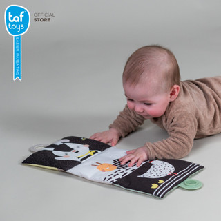 Taf Toys طقم ألعاب وقت الاستلقاء على البطن Tummy-time Essentials Kit لعبة تنمية مهارات من عمر 0 شهر صورة 4