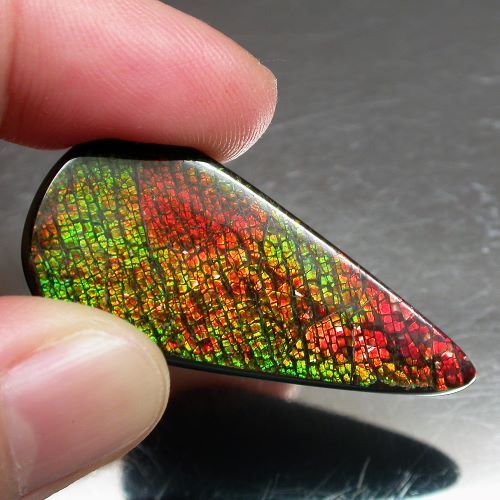 Ammolite แอมโมไลต์ (Ammolite) อัญมณีโลกล้านปีสุดหายาก อัญมณีนำโชค อัญมณีสะสม
