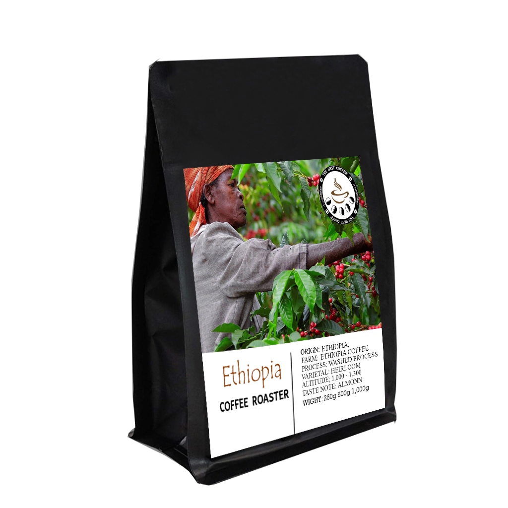 Ethiopia Yirgacheffe G2 ชาวบ้านกำลังเก็บกาเเฟ (Washed) | The Best Coffee Roasted | เมล็ดกาแฟอราบีก้า