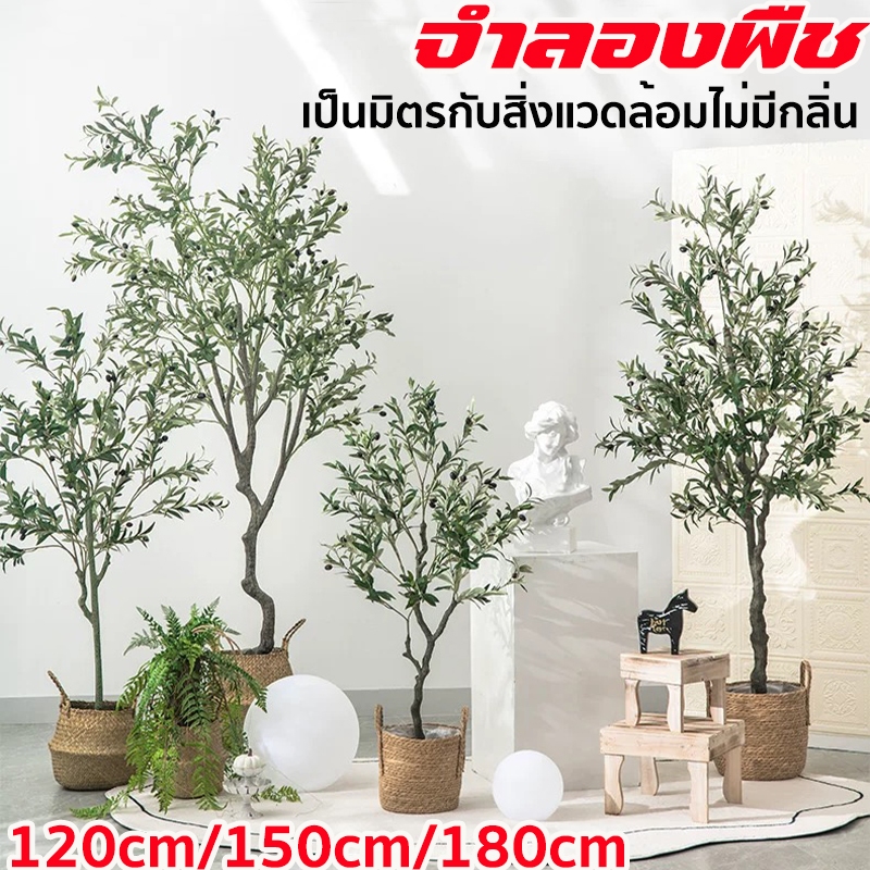 ต้นโอลีฟ ต้นไม้ปลอม พร้อมกระถาง ต้นมะกอกปลอม เหมือนต้นไม้จริง ต้นไม้แต่งห้อง 120/150/180cm