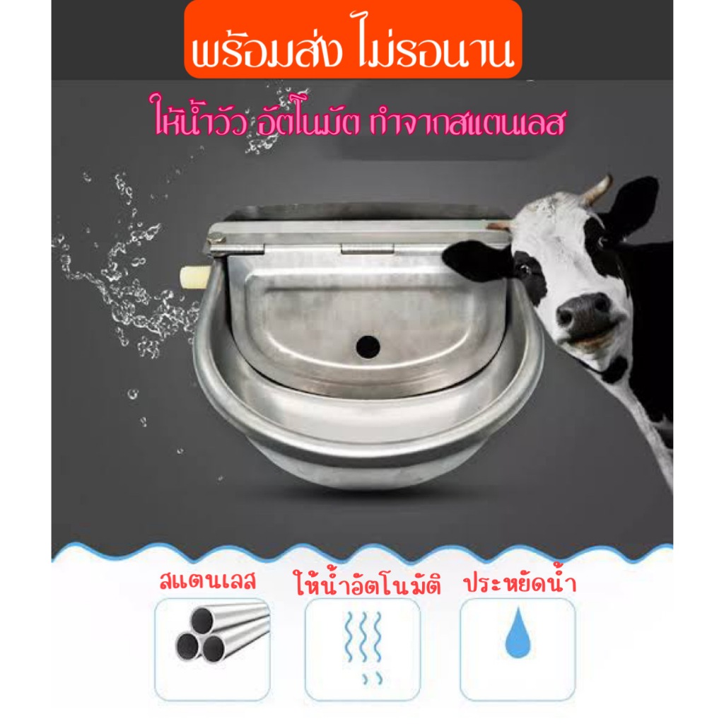 ถาดน้ำวัวสแตนเลสอัตโนมัติ ให้น้ำ ม้า วัว แพะ ขนาด 3 ลิตร