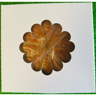 เค้กกล้วยหอม ผลิตและขายส่งยาวนานกว่า 40 ปีเจ้าเก่านนทบุรี