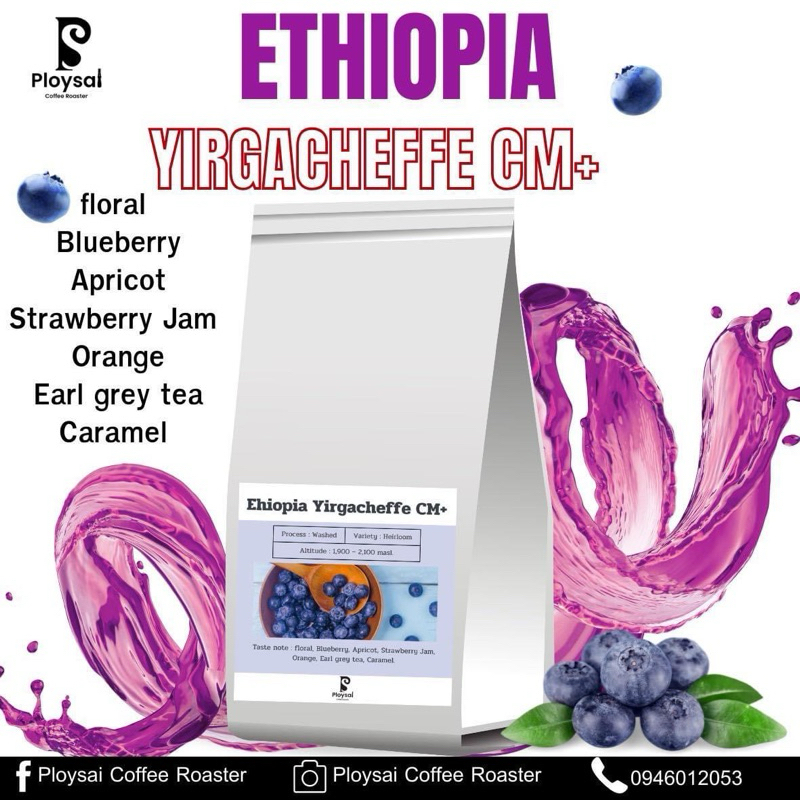 เมล็ดกาแฟ Ethiopia Yirgacheffe CM+ บลูเบอร์รี่