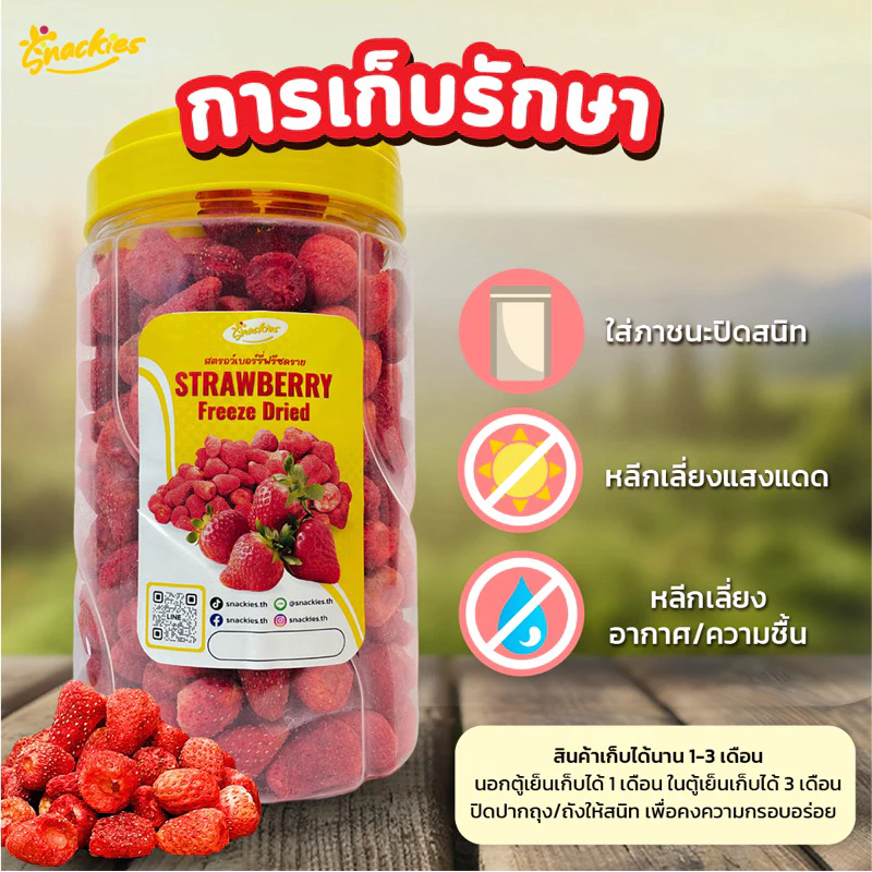[ยกถัง] สตอเบอร์รี่ฟรีซดราย (จิ๋ว) 400g. หวานอมเปรี้ยว กรอบ กินเพลิน สตอจิ๋ว ขนม ของกิน snackies thumbnail 8