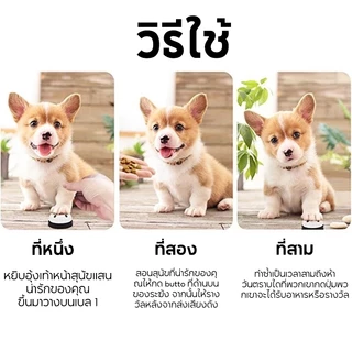 Cuttie Pettieฝึกสัตว์เลี้ยงของคุณอย่างง่ายดายด้วยกระดิ่งฝึกสุนัขและแมว แบบโต้ตอบ!