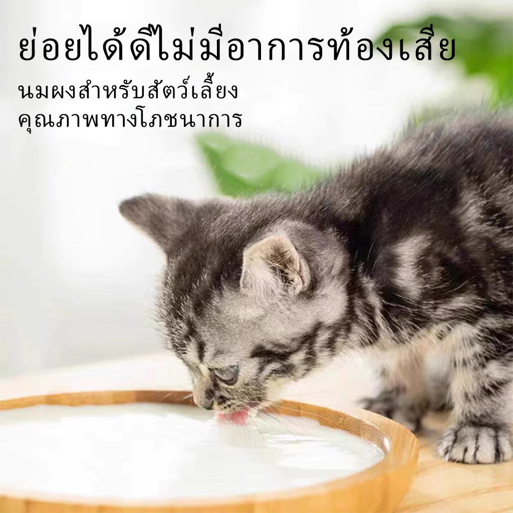 นมแพะผงสัตว์เลี้ยง 300g แมว-สุนัข ย่อยง่าย เสริมภูมิ thumbnail 9