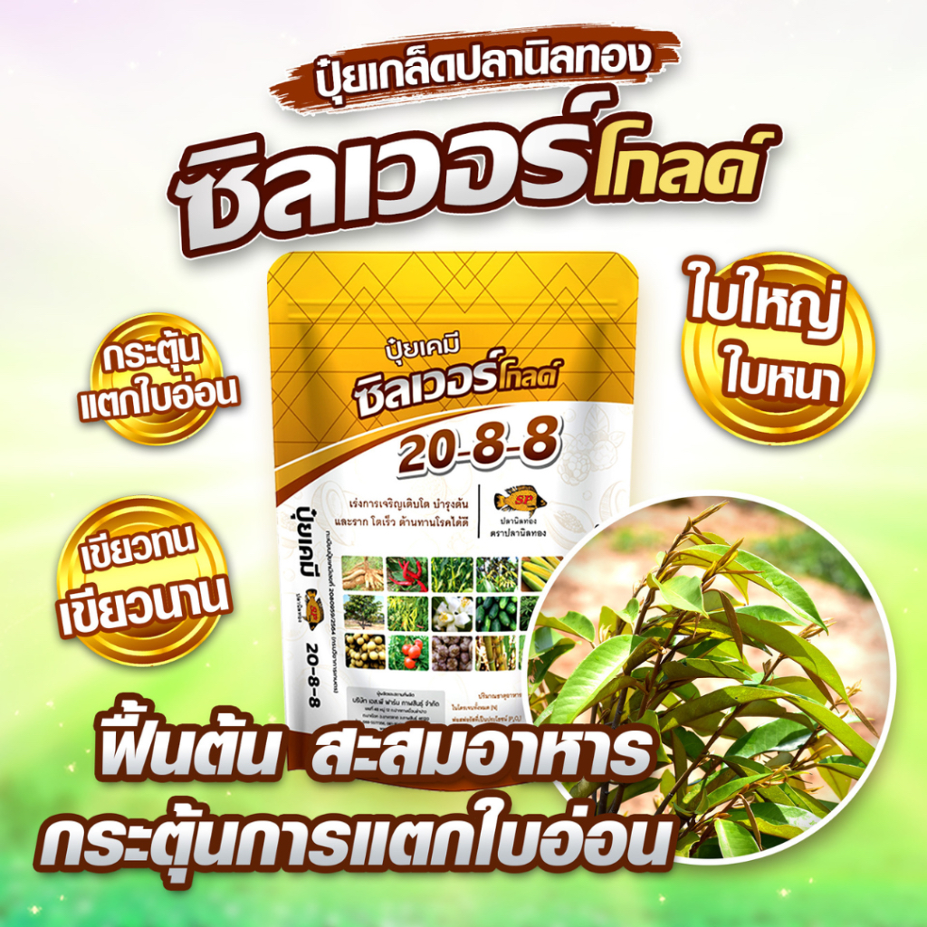 ปุ๋ยเกร็ดซิลเวอร์โกลด์ 20-8-8 ช่วยเร่งการเจริญเติบโต, เร่งต้น, เร่งโต, บำรุงลำต้นและระบบราก