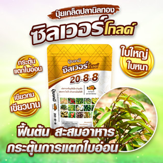 ปุ๋ยเกร็ดซิลเวอร์โกลด์ 20-8-8 ช่วยเร่งการเจริญเติบโต, เร่งต้…