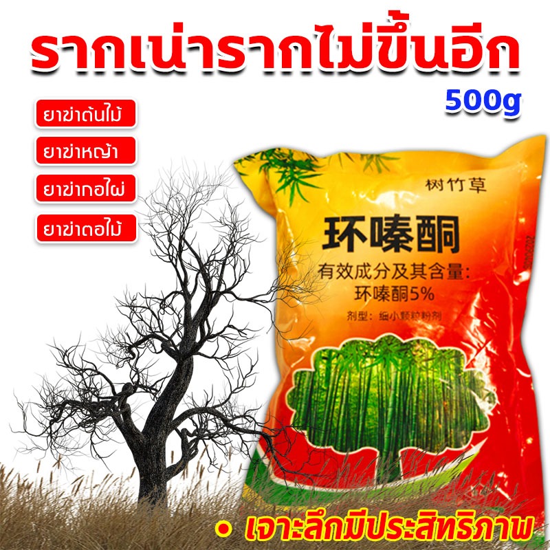 รากเน่ารากไม่ขึ้นอีก ยาฆ่าต้นไม้ สารกําจัดกอไผ่ ยาฆ่าตอไม้ ยาฆ่าหญ้า ยาฆ่ากอไผ่ ยาฆ่าตอต้นไม้