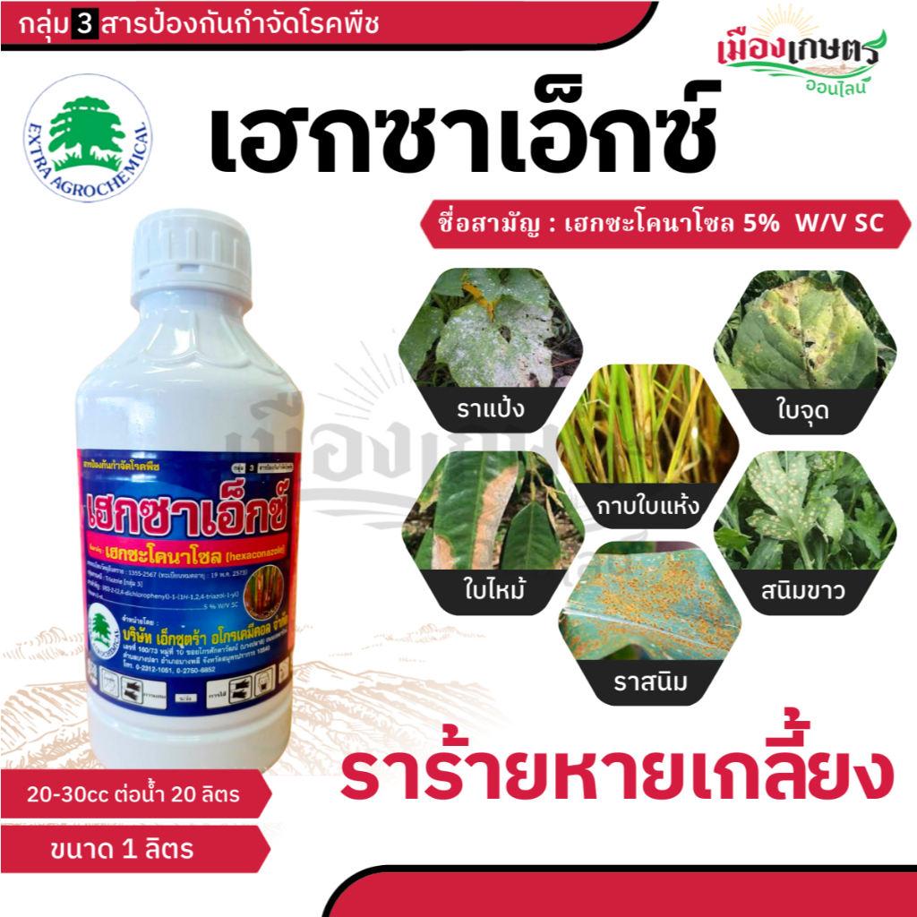 เฮกซาเอ็กซ์ 1 ลิตร เฮกซะโคนาโซน ยาเชื้อรา โรคพืช ใบด่าง ใบจุด เมล็ดด่าง ช่อดำ ราแป้ง ราดำ กาบใบแห้ง เขม่าดำ ราสนิม ราขาว
