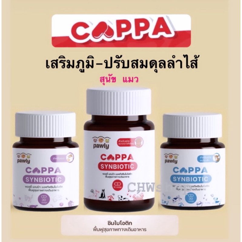 ปรับสมดุลลำไส้ ลดถ่ายเหลว อึเป็นก้อน ด้วยแอคทีฟซินไบโอติก Pawly Cappa ฟื้นฟูระบบทางเดินอาหารเสริมภูมิหมา-แมว ชนิดแคปซูล