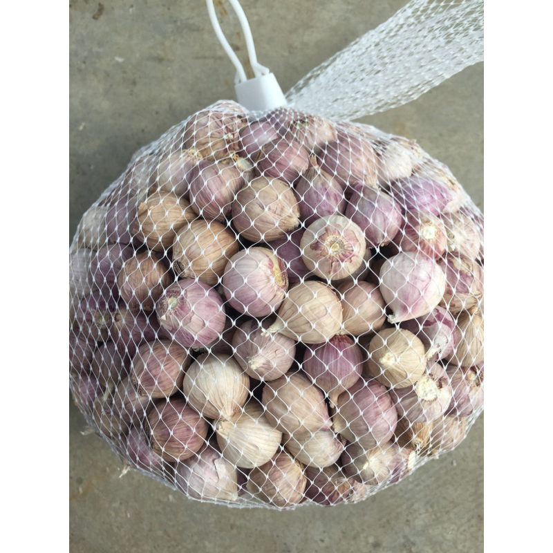 กระเทียมโทนเชียงดาว คัดคุณภาพ