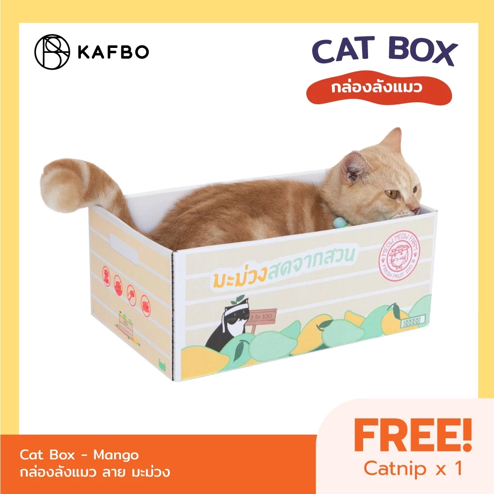 KAFBO Cat box - กล่องมะม่วง กล่องลังแมว บ้านแมว ที่ลับเล็บแมว ที่ฝนเล็บแมว