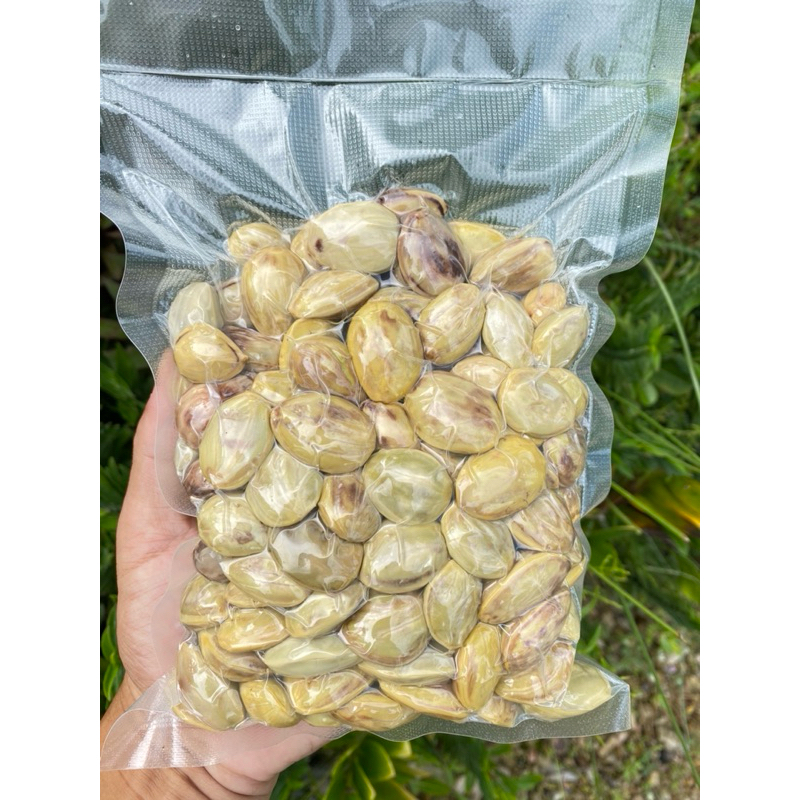 สะตอดอง เนื้อล้วน เกรดA พร้อมทาน 500กรัม แพ็คสุญญากาศ เปรี้ยว กรอบ สะอาด