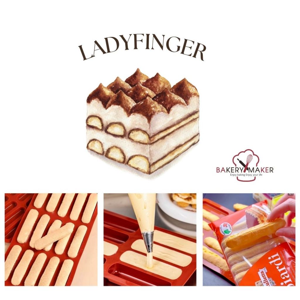 พิมพ์ซิลิโคนเลดีฟิงเกอร์ 8 ช่องและ 15 ช่อง Ladyfinger/Chu Cream ชูครีม/เอแคลร์