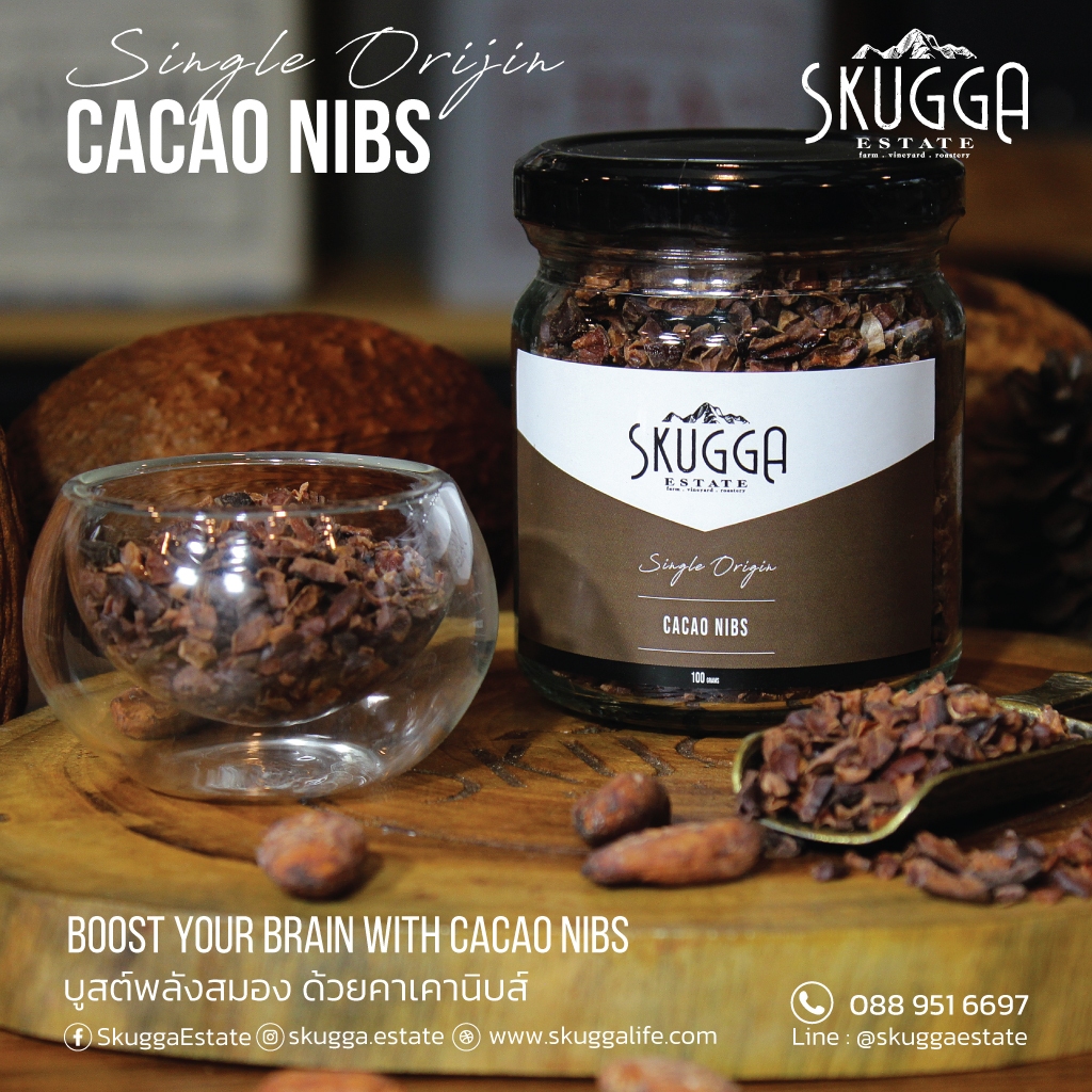 โกโก้นิบส์ เนื้อโกโก้ 100% Cacao Nibs 100g.