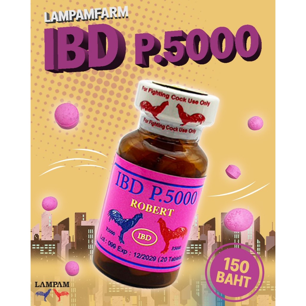 IBD P5000 อาหารไก่ ลำปำ ชนิดเม็ด เน้นความสมบูรณ์ก่อนลงสนาม หัวอาหารไก่ ไก่ชน ไก่ตี