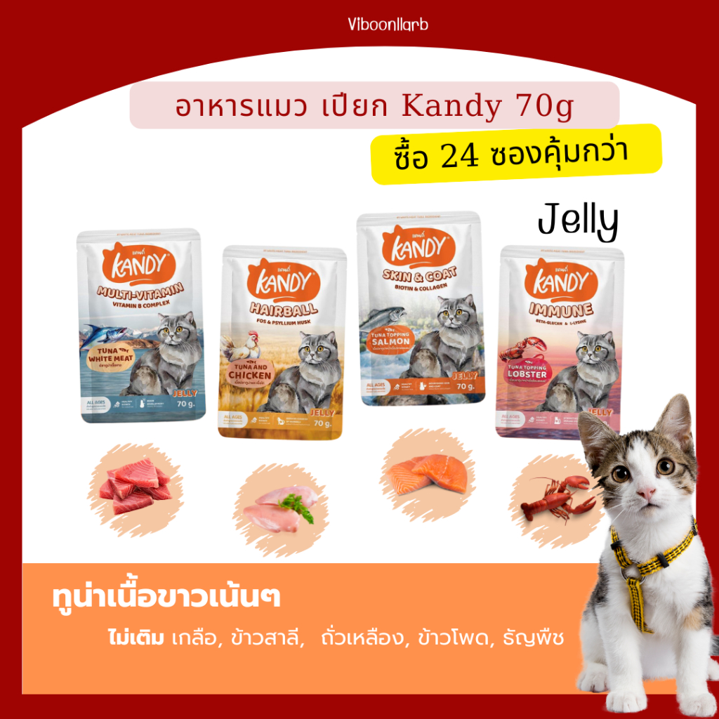 [12 ซอง] Kandy อาหารแมวเปียก แคนดี้ สูตรไม่เติมเกลือ ไม่เติมธัญพืช บรรจุ 70 กรัม