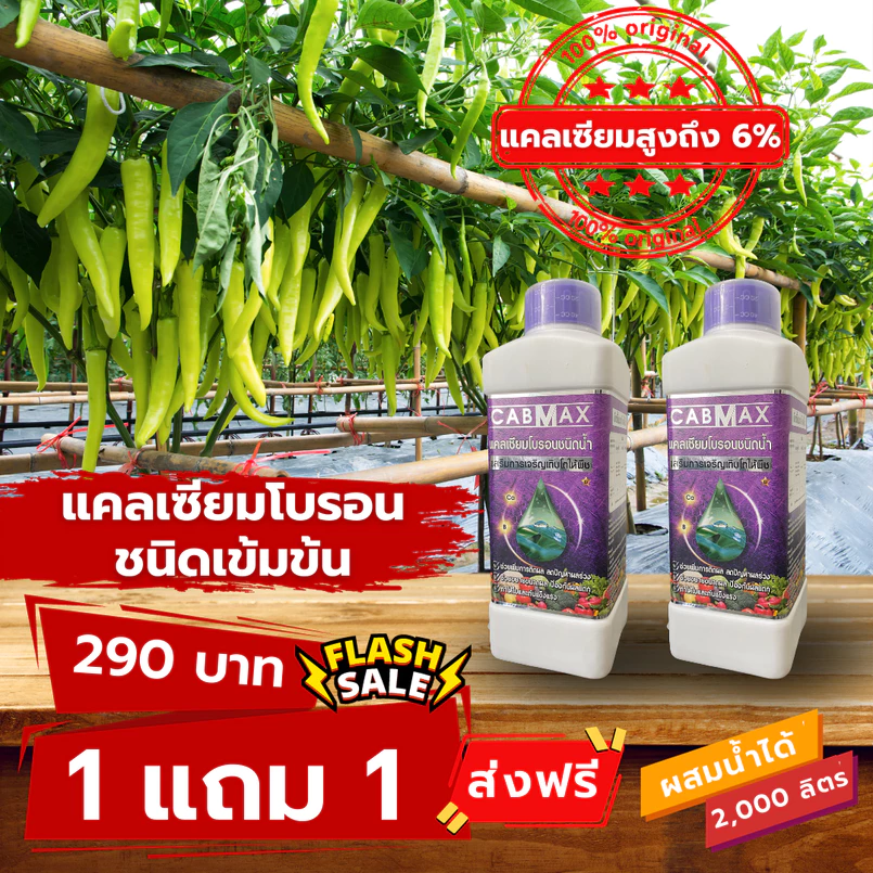 ปุ๋ยแคลเซียมโบรอนเข้มข้น CABMAX 1 แถม 1 นวัตกรรมคีเลต ผลดกโต ติดง่าย ลดการหลุดร่วงขั้วเหนียว C2
