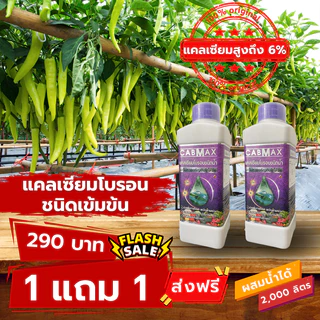 ปุ๋ยแคลเซียมโบรอนเข้มข้น CABMAX 1 แถม 1 นวัตกรรมคีเลต ผลดกโต ติดง่าย ลดการหลุดร่วงขั้วเหนียว C2