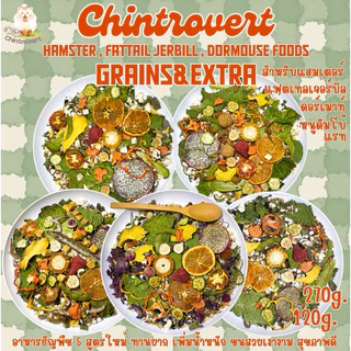 Chintrovert ✨(ส่งใน2-5วัน)อาหารธัญพืชGrains&Extra 6 สูตร120g.-270g. อาหารแฮมเตอร์ทุกสายพันธุ์ แฟตเทล ดอร์เมาท์ หนูดัมโบ