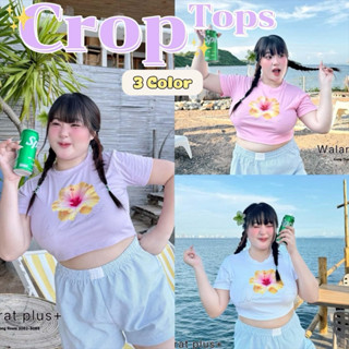 (🎀shopee video & liveมีส่วนลด+ส่งฟรี🎀) พร้อมส่ง ✅น้องชบา ตกแ…