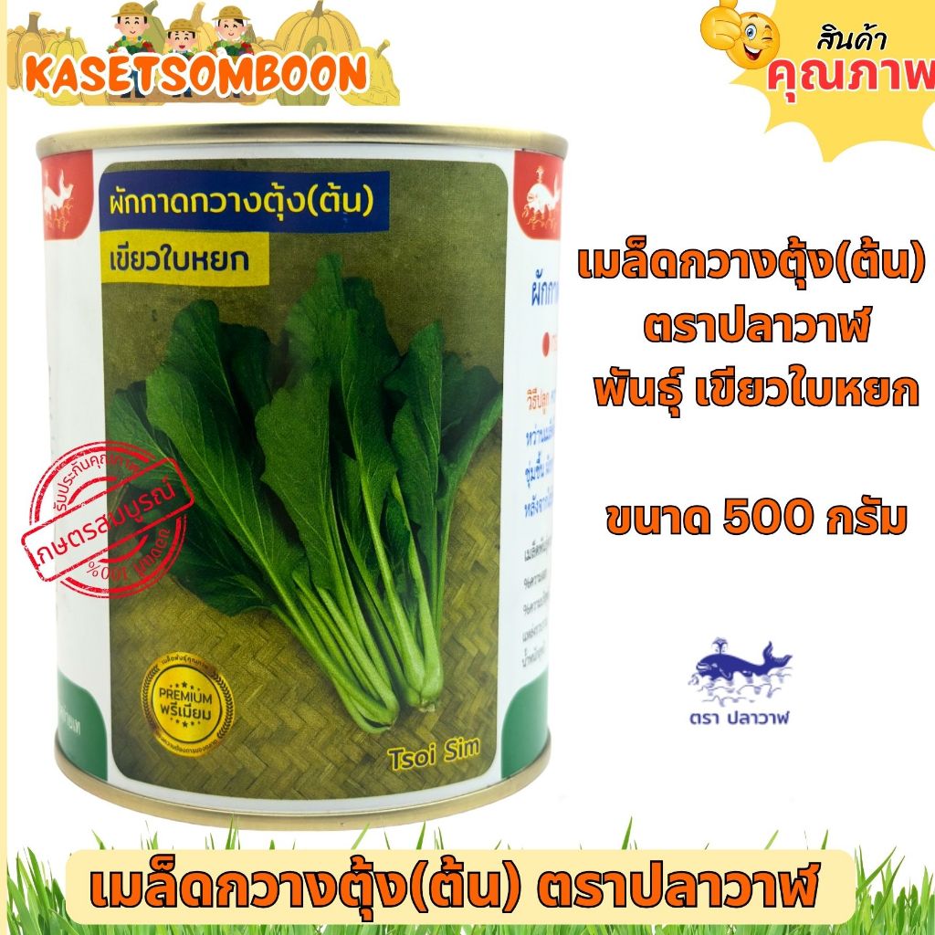 กวางตุ้งเขียวใบหยก เมล็ดพันธุ์ 500 กรัม ตราปลาวาฬ ราคา ถูกที่สุด ดีลบีเคเค แกลเลอรีภาพที่ 2