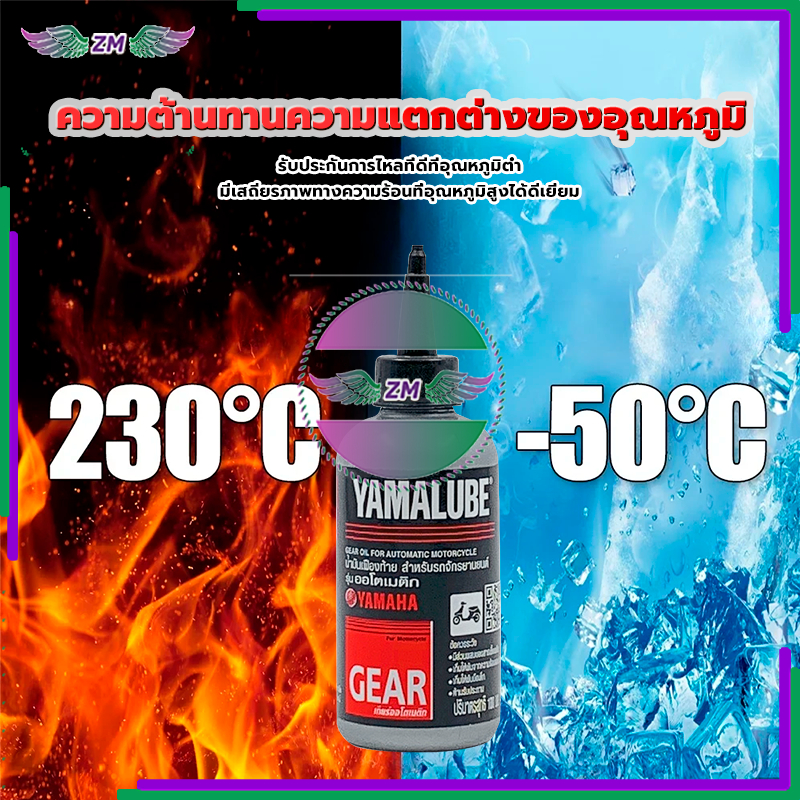 รูปภาพ 6