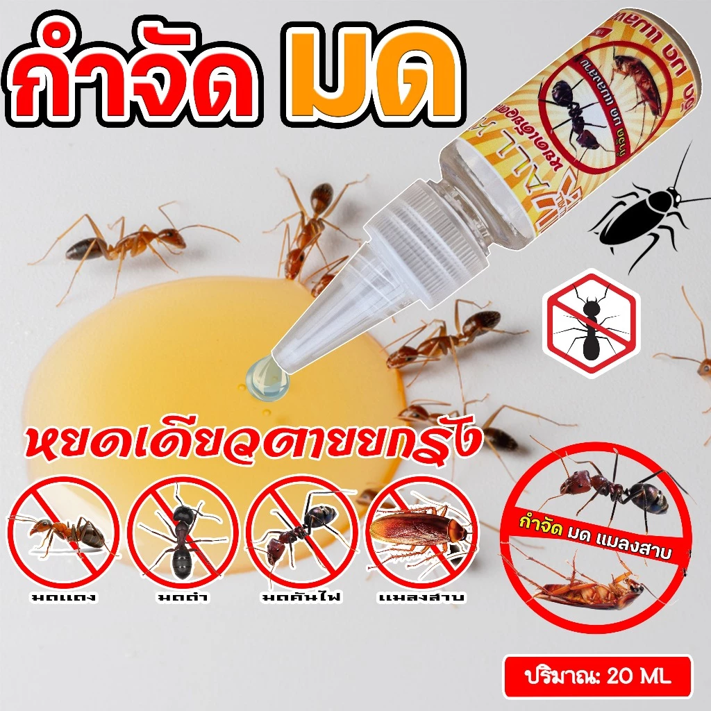 กำจัดมด # เจลกำจัดมด แมลงสาบ แมลงวัน ไม่ฟุ้งกระจาย AK.ALLKILL ขนาด 20 ml
