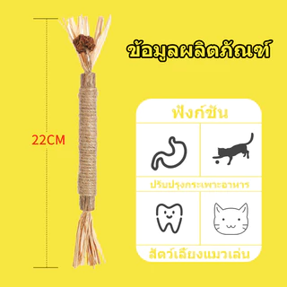 ไม้แมวเมา อันใหญ่ ไม้ขัดฟันแมว มาทาบิ ไม้มาทาทาบิ ของเล่นแมว ลดคราบหินปูน กัญชาแมว ขนาดเหมาะกับแมวมากที่สุด