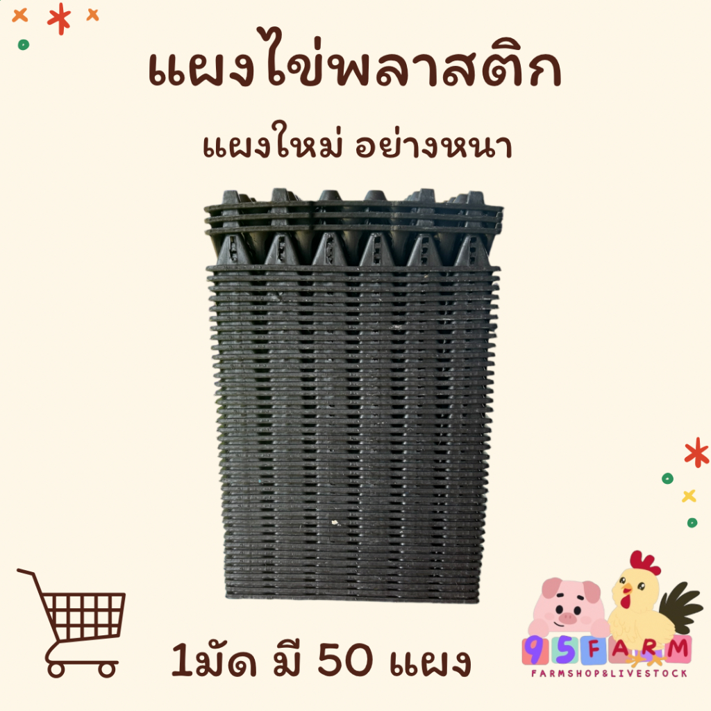 แผงไข่พลาสติก 50 แผง (1 มัด) สำหรับใส่ไข่ มี 2 ขนาด