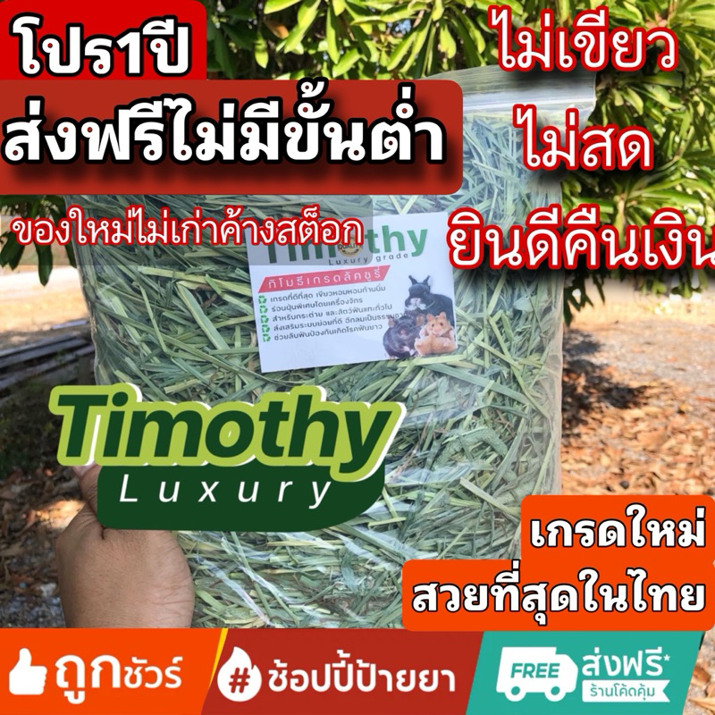 ร้านส่งฟรีทุกออเดอร์ ทิมโมธี 4กก Timothy คัท1 ใบเยอะ ดอกเยอะ