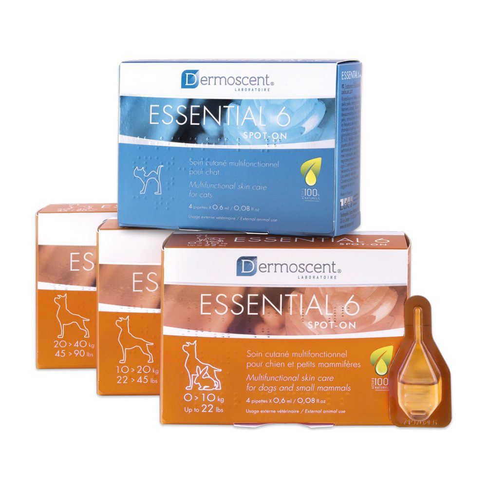 Dermoscent Essential-6 spot on นํ้ามันบำรุงขนและผิวหนังชนิดหยด จากประเทศฝรั่งเศส