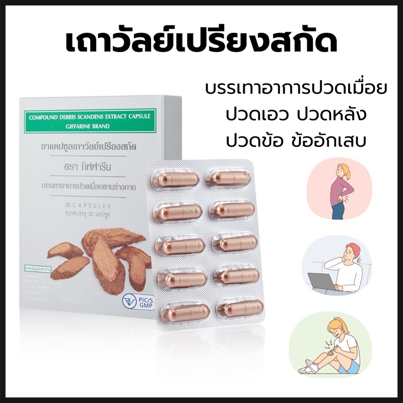เถาวัลย์เปรียงสกัด บรรเทาอาการปวดเมื่อย ตรา กิฟฟารีน ยาแผนโบราณ ยาสามัญประจำบ้าน Giffarine