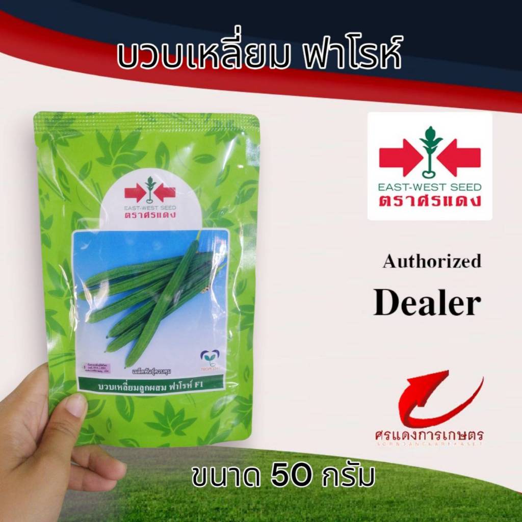เมล็ดพันธุ์ บวบเหลี่ยมฟาโรห์ ขนาด 320เมล็ด และ 1600 เมล็ด